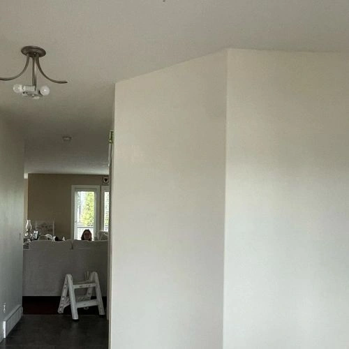 Photo of color Benjamin Moore OC-39 Timid White