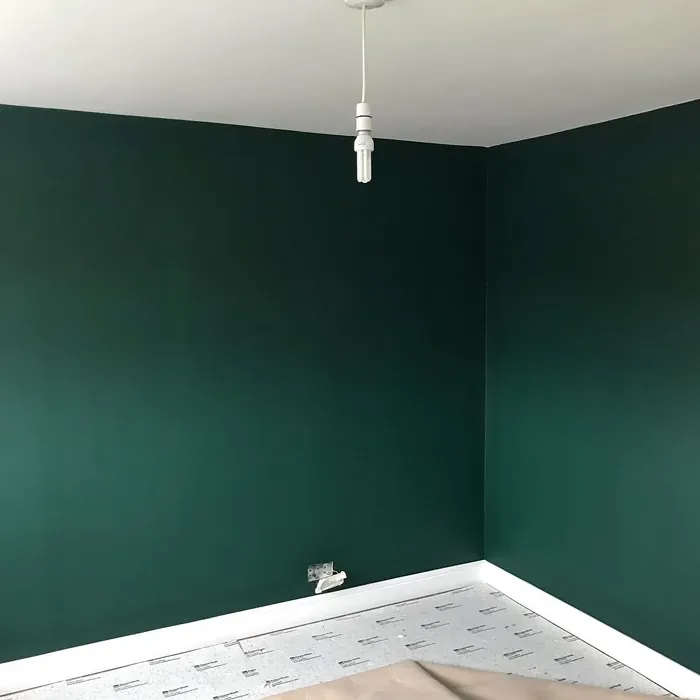 Dulux 07GG 07/143 living room review