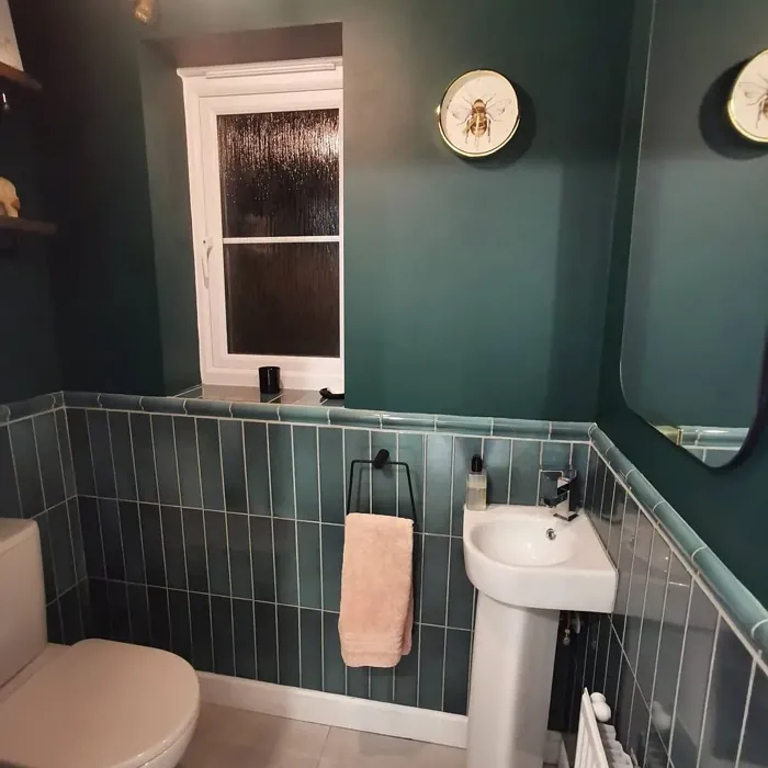 Pine Needle bathroom paint review