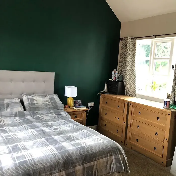 Pine Needle bedroom color review