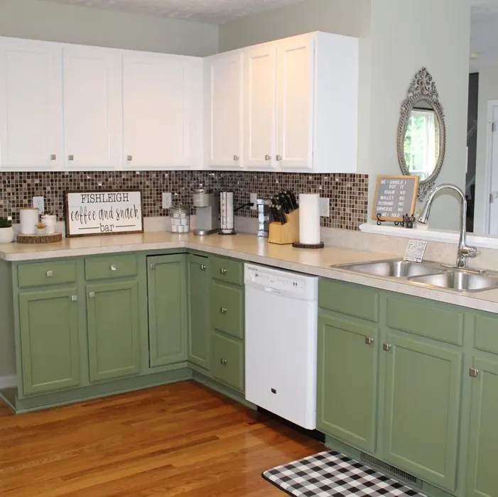 Sherwin Williams SW 6179 kitchen cabinets color