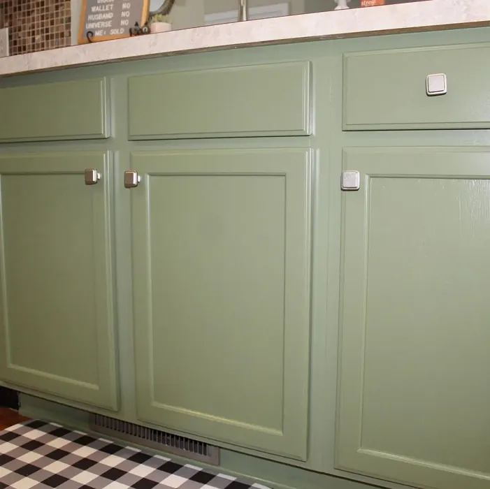 Sherwin Williams SW 6179 kitchen cabinets color