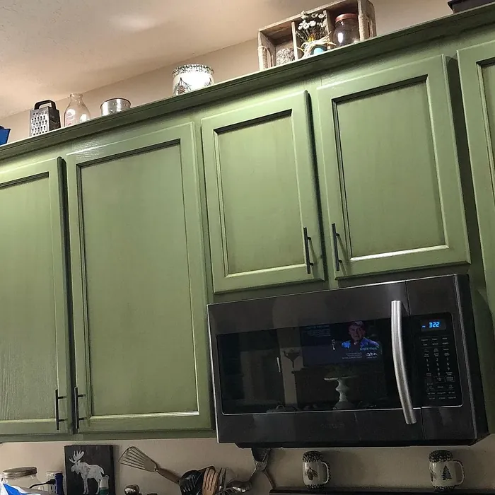 SW 6179 kitchen cabinets paint
