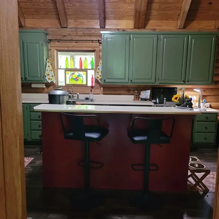 Sherwin Williams Artichoke kitchen cabinets paint