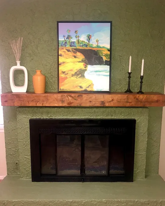 Sherwin Williams SW 6179 living room fireplace paint