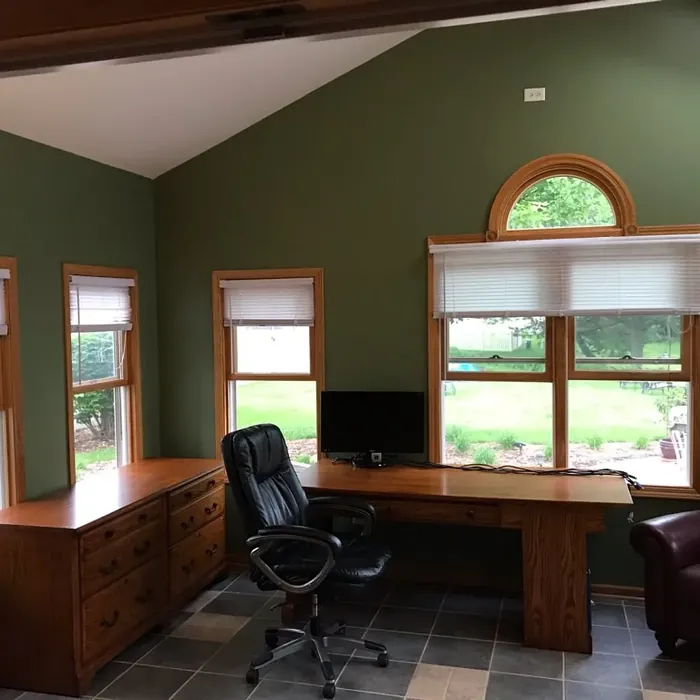 Sherwin Williams SW 6179 home office paint