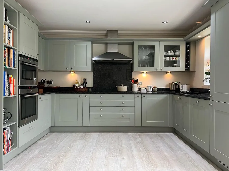 Farrow and Ball Blue Gray 91 kitchen cabinets