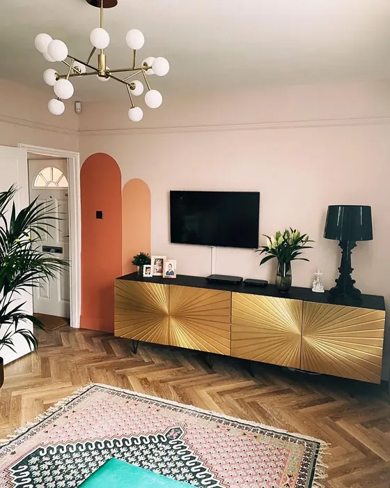 Calamine living room color