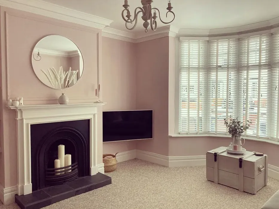 Calamine living room fireplace color
