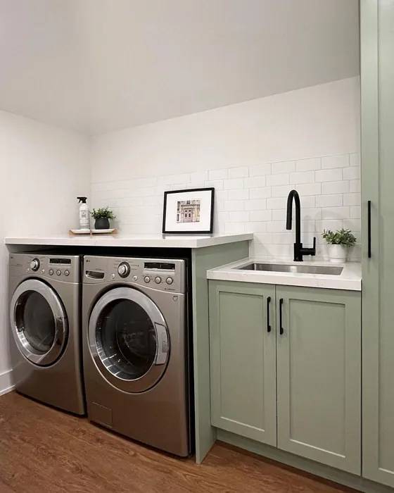 Sherwin Williams Clary Sage Laundry Room