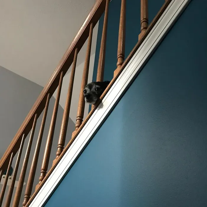 Connor's Lakefront stairs color paint