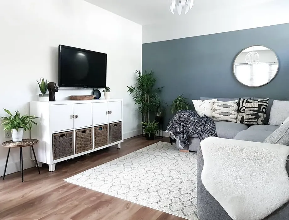 Dulux Denim Drift living room color review