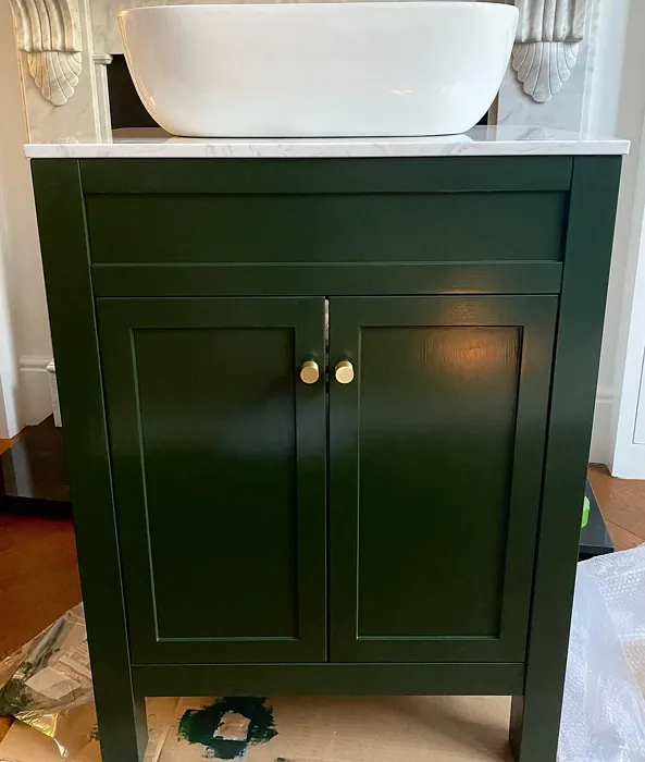 Dulux Palm Night bathroom vanity color review