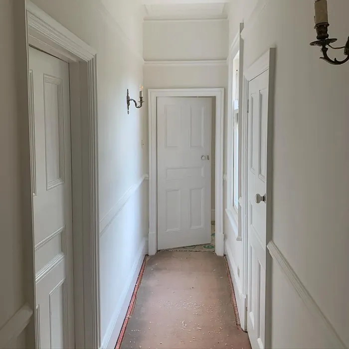 Dulux Timeless hallway color review