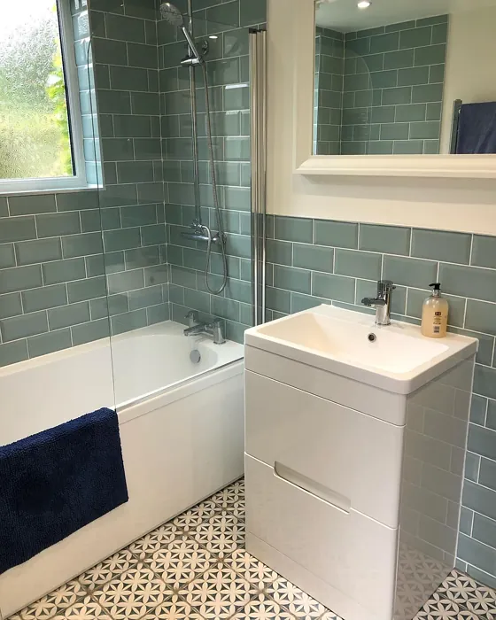 Dulux Timeless cozy bathroom paint review