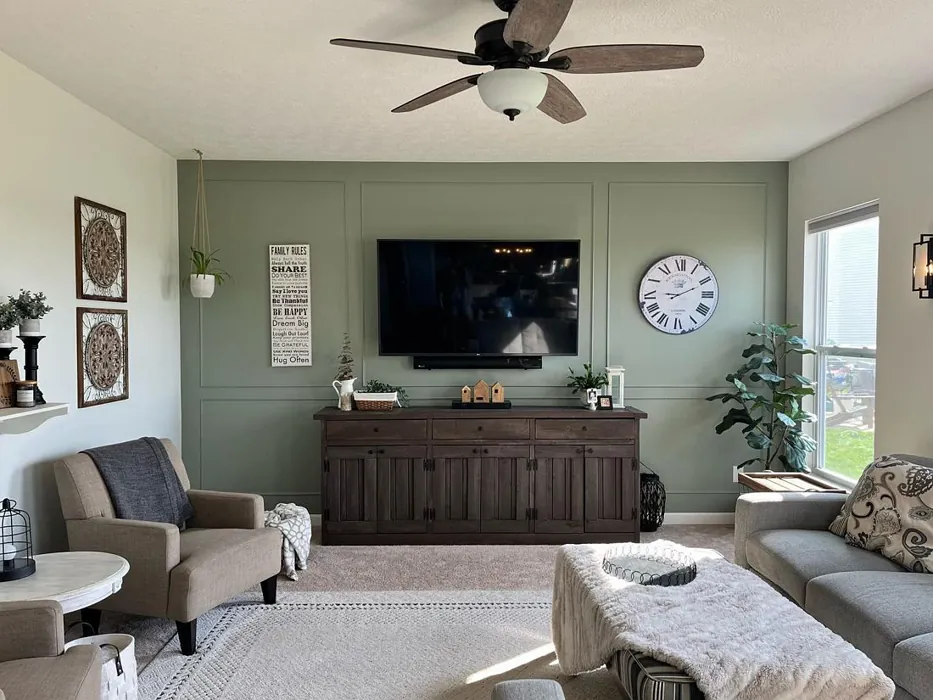 Sw 9130 Accent Wall