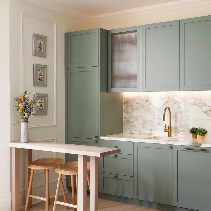 Farrow and Ball Card Room Green kitchen cabinets color review