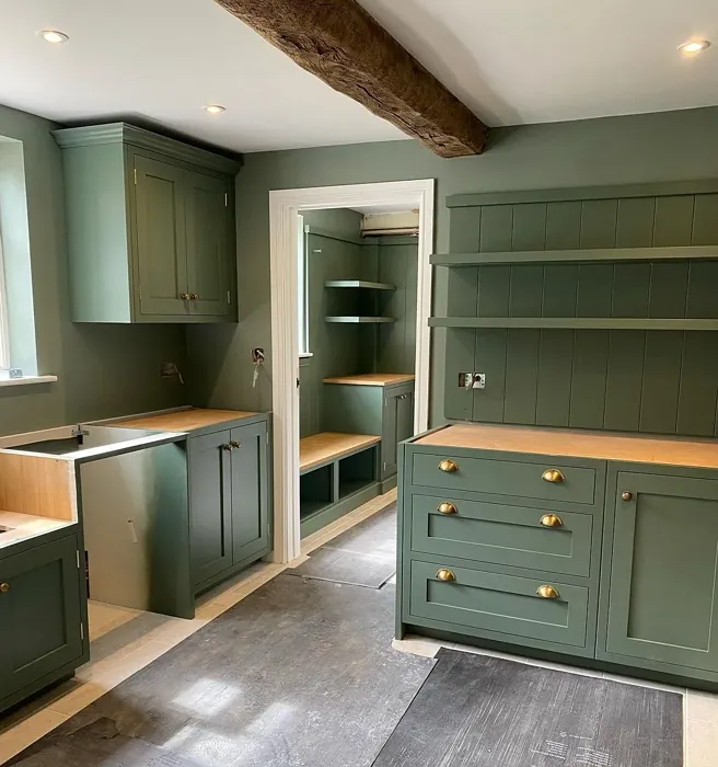 Farrow and Ball Card Room Green kitchen cabinets paint