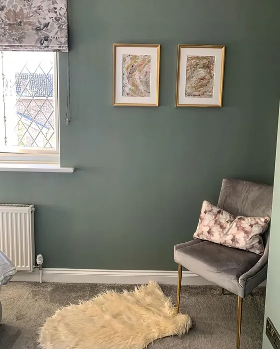 Farrow and Ball Card Room Green living room picture