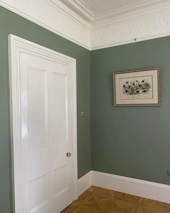 Farrow and Ball Card Room Green living room color review