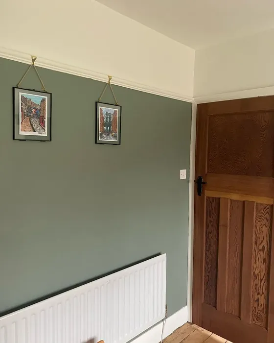 Farrow and Ball Card Room Green living room paint review