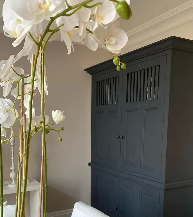 Farrow and Ball 300 dining room paint