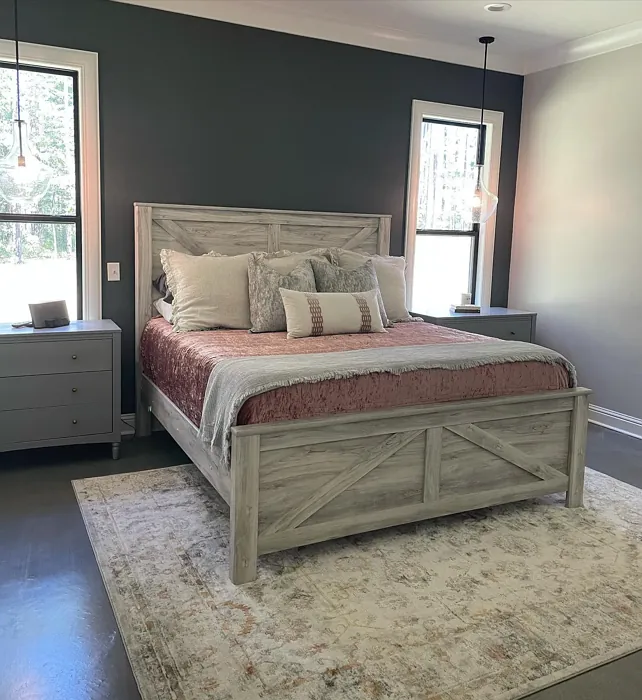 Sherwin Williams Grizzle Gray Bedroom