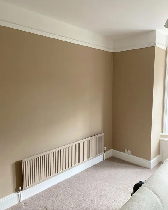Farrow and Ball 293 living room paint review