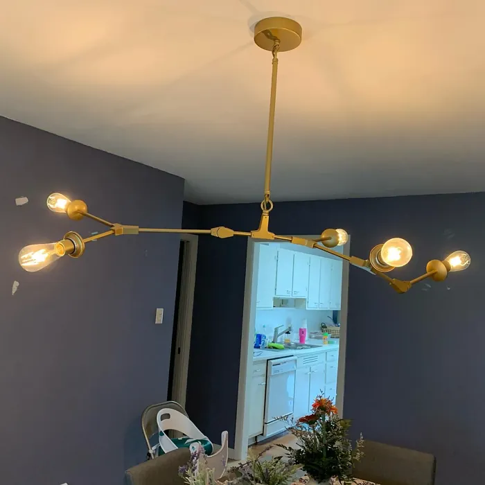 SW Sea Serpent dining room color review