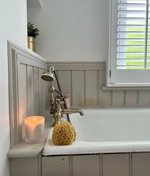 Slaked Lime Deep bathroom paint review