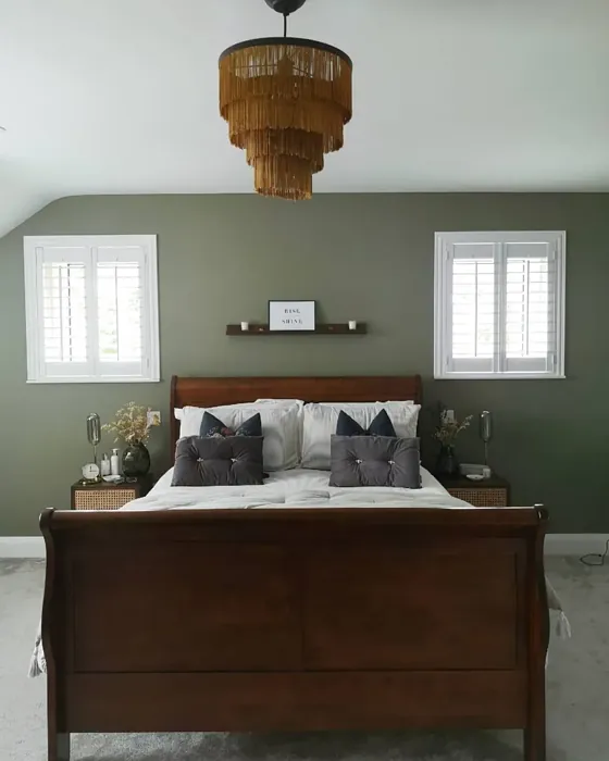 Treron bedroom color review