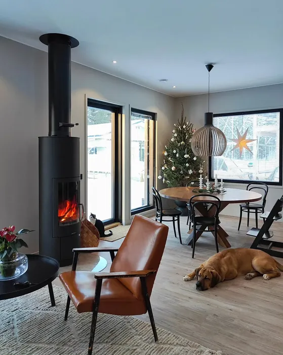 Tikkurila X486 scandinavian living room color review