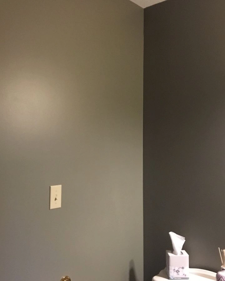 Sherwin Williams Connected Gray Bathroom