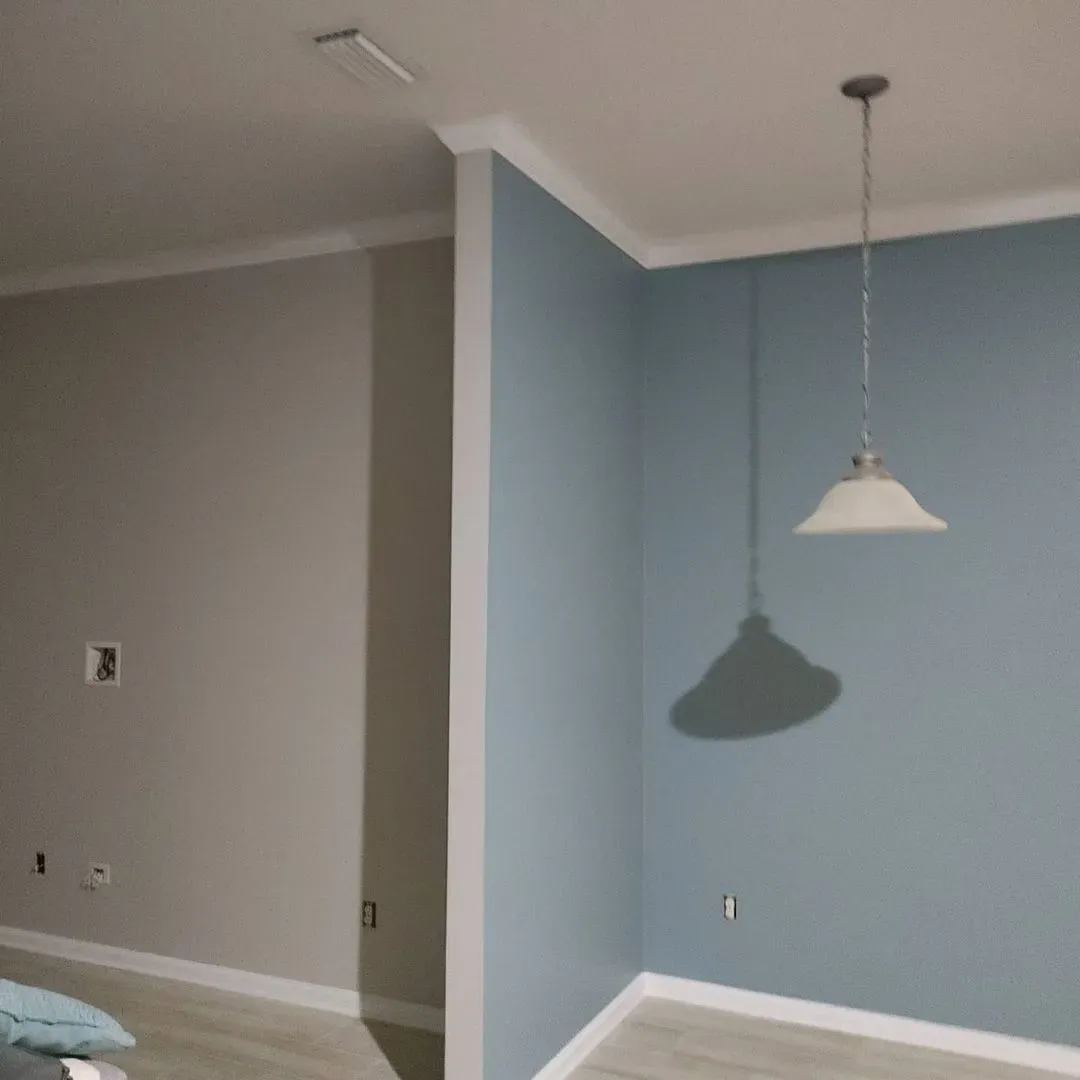 SW Debonair living room paint review