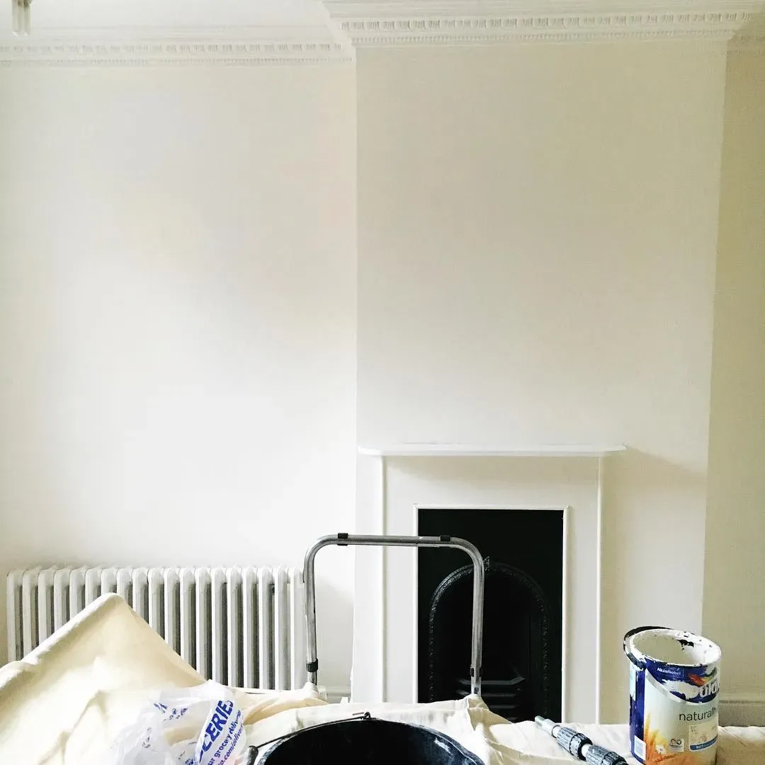 Dulux 67YY 88/044 living room color review