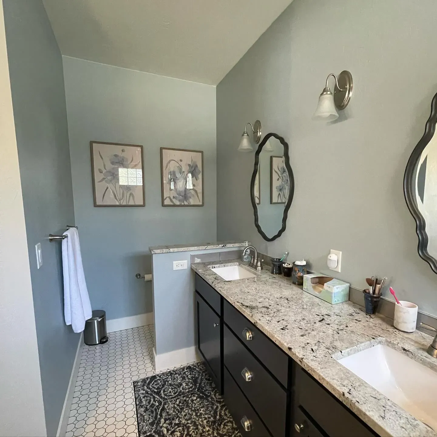 Sherwin Williams Niebla Azul bathroom color review
