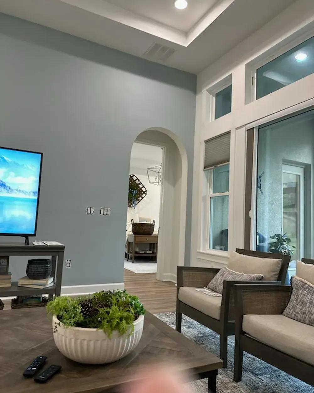 Niebla Azul living room color