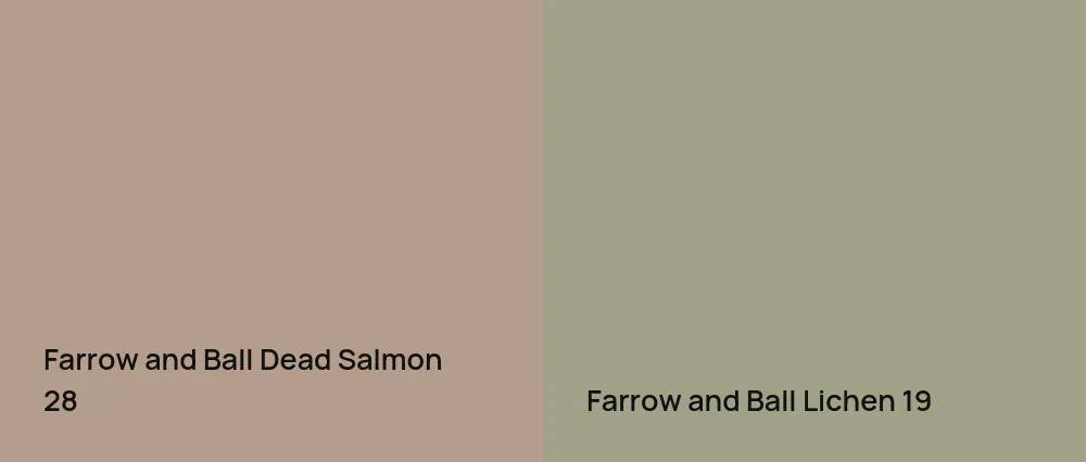 Farrow and Ball Dead Salmon 28 vs Farrow and Ball Lichen 19