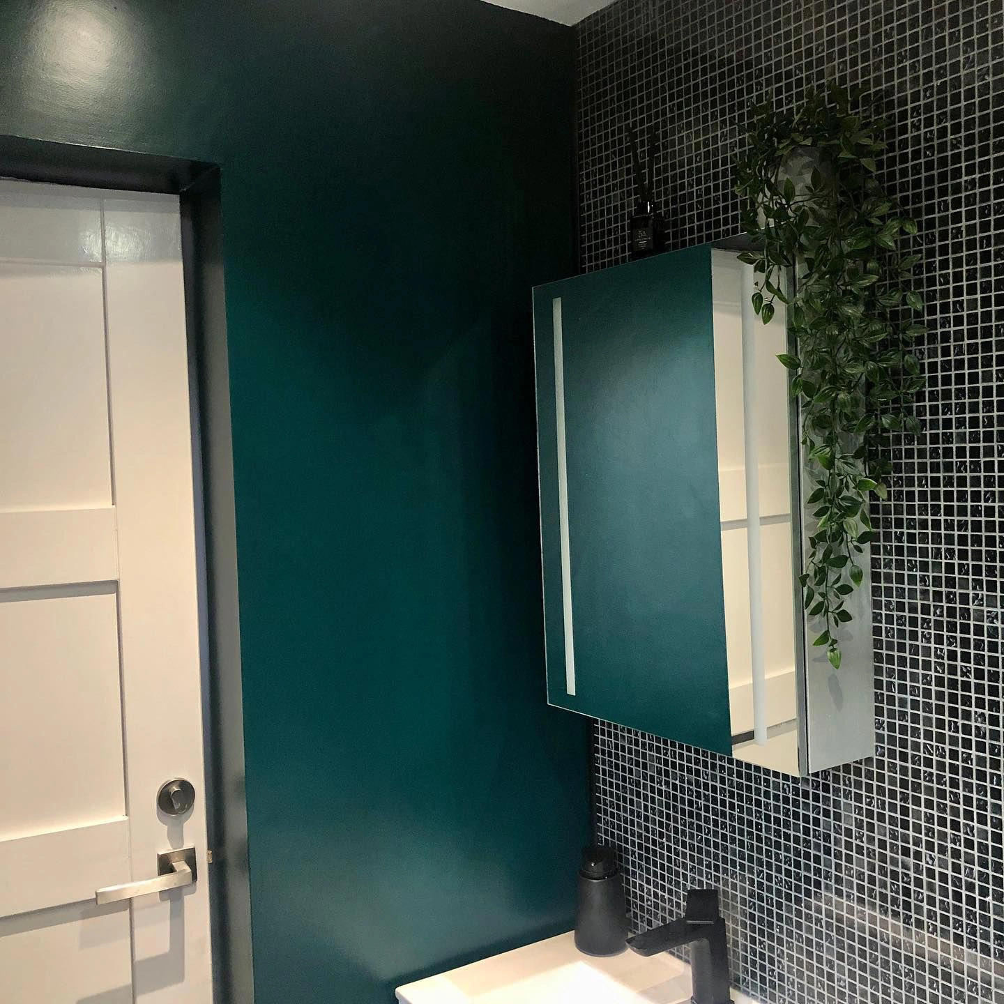 RAL Classic  Blue green RAL 6004 bathroom