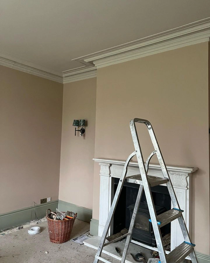Farrow and Ball Stirabout 300 paint