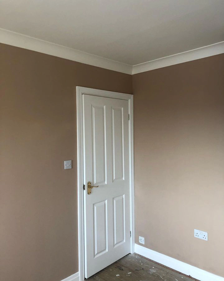 Farrow and Ball Templeton Pink 303 wall paint