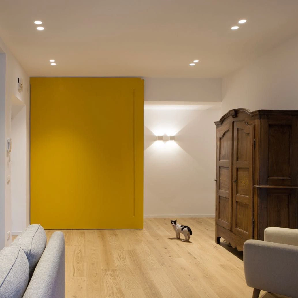 Golden yellow RAL 1004 accent wall