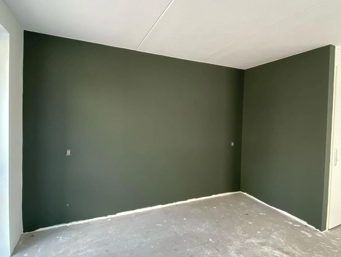 Green grey RAL 7009 review painted wall