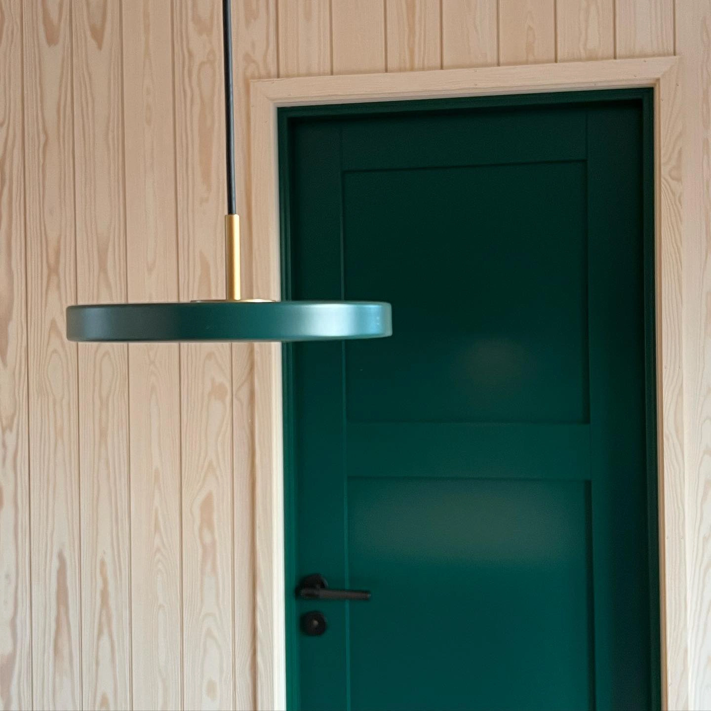 Scandinavian interior with green door RAL6005