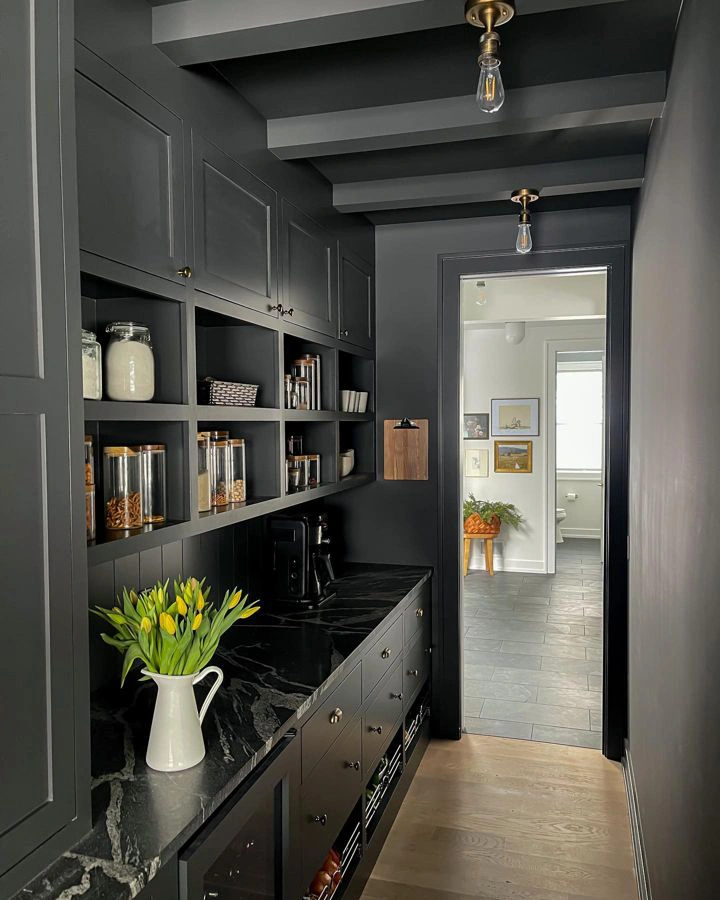 Sherwin Williams Iron Ore SW 7069 painted cabinets