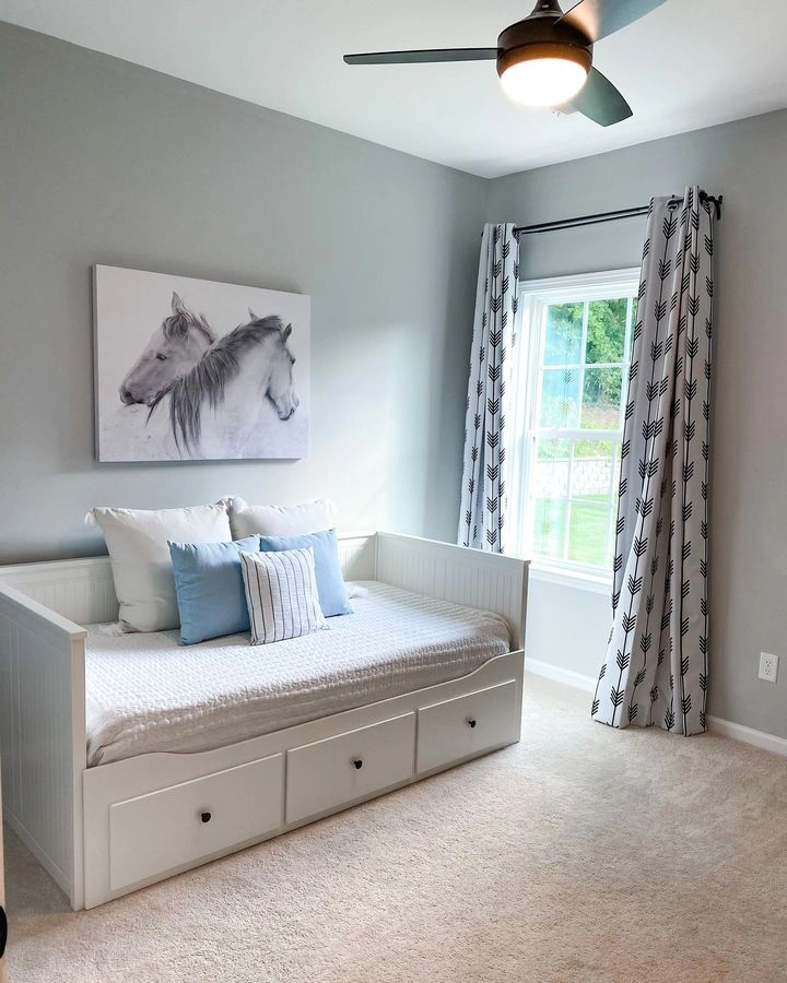 Light grey paint color Sherwin Williams Passive in boys room