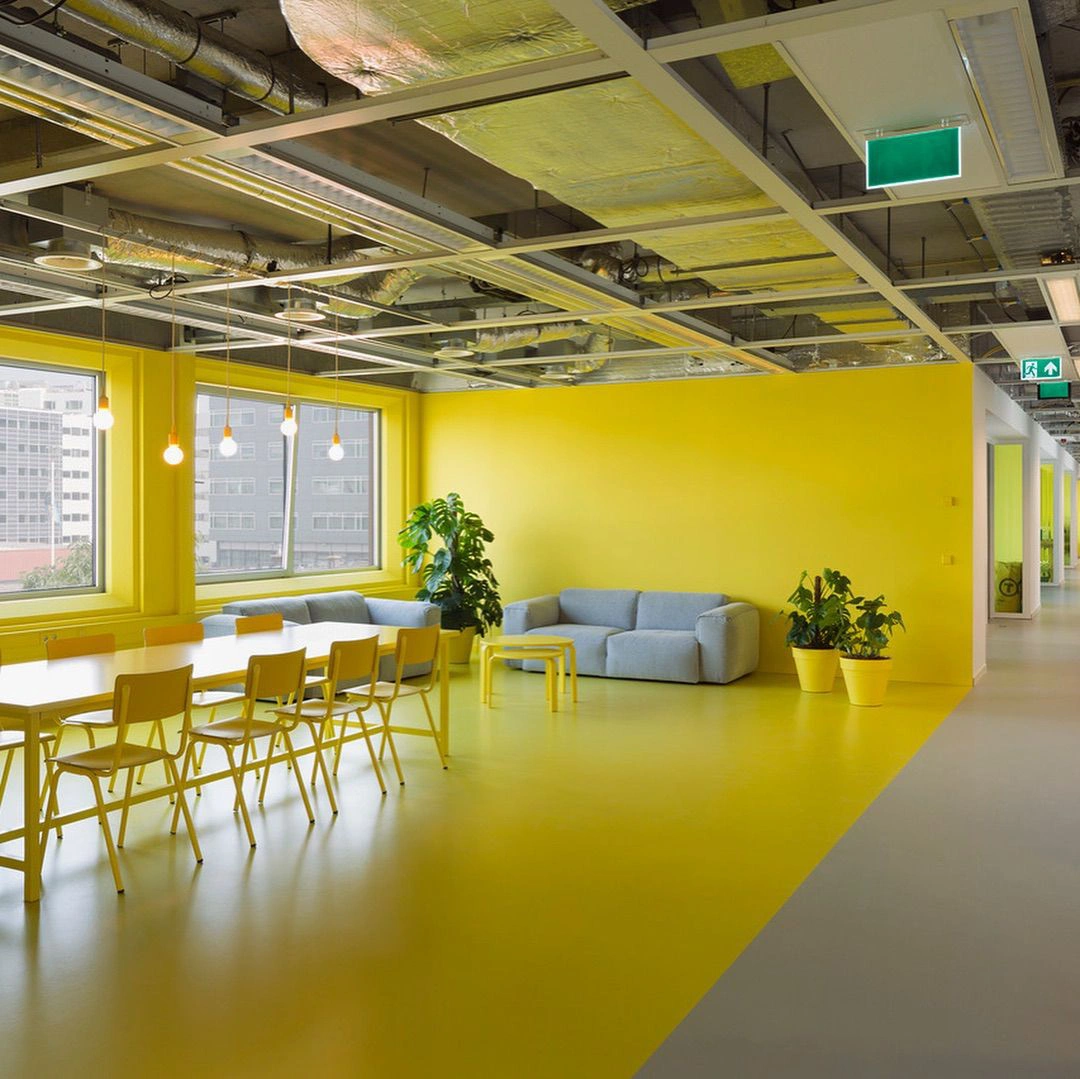 Zinc yellow RAL 1018 office interior