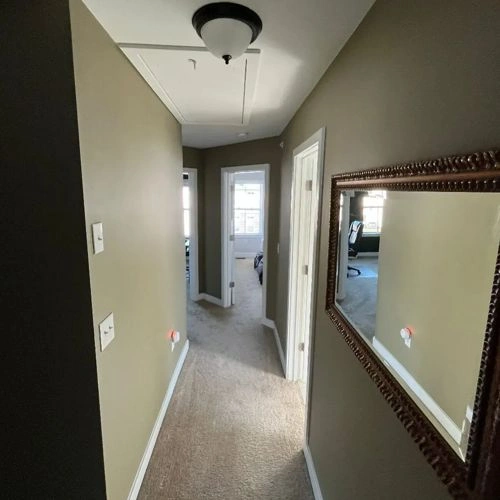 Photo of color Benjamin Moore 1511 Bed of Ferns