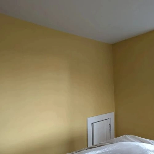 Photo of color Benjamin Moore CW-395 Governor's Gold