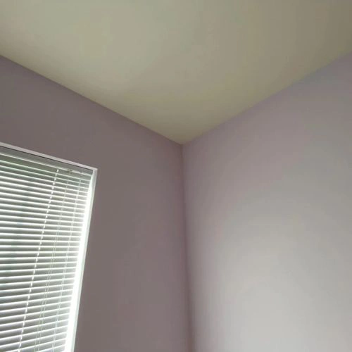 Photo of color Benjamin Moore 2071-70 Misty Lilac